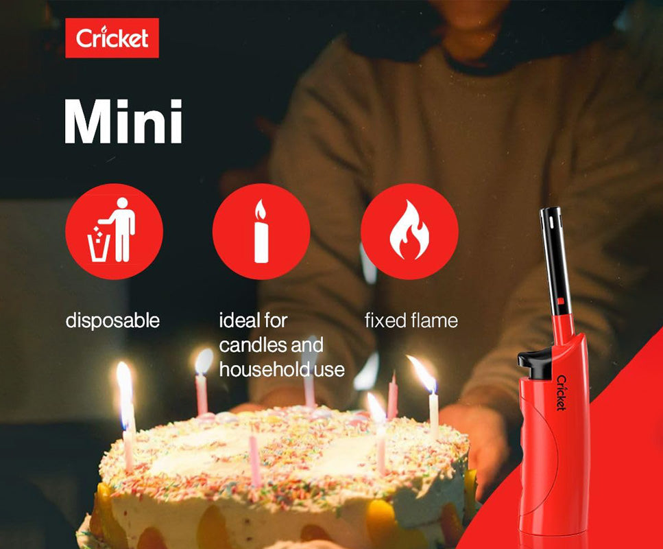 Kitchen Utility Gas Lighter Mini Pack of 22