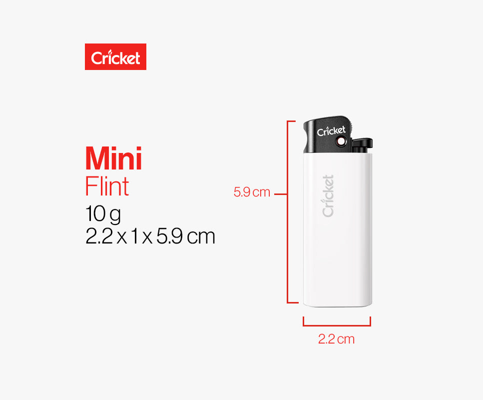 Mini Fluorescent Disposable Pocket Lighter, Pack of 50